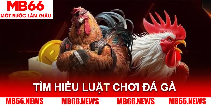 Nhà cái cam kết mang tới sân chơi công bằng, uy tín